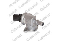 Thermostat, coolant