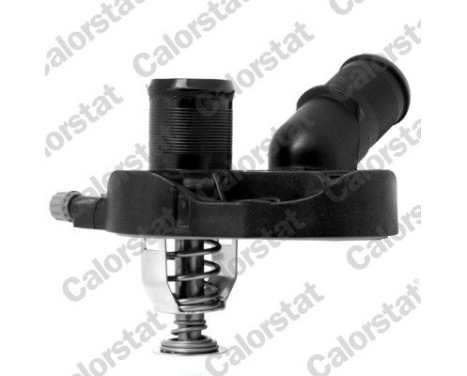 Thermostat, coolant