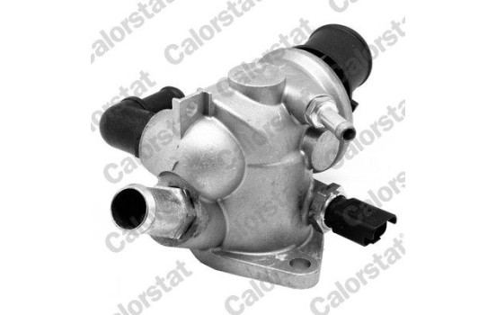 Thermostat, coolant