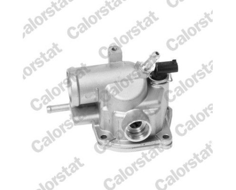 Thermostat, coolant