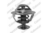 Thermostat, coolant