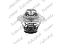 Thermostat, coolant