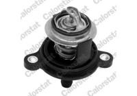 Thermostat, coolant