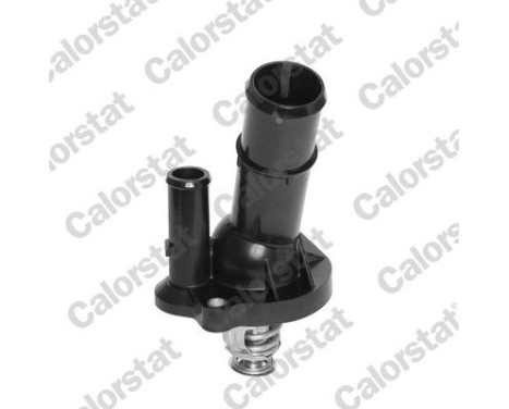Thermostat, coolant