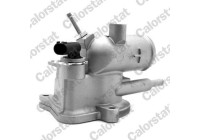 Thermostat, coolant