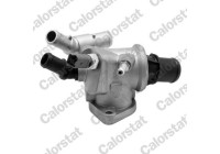 Thermostat, coolant