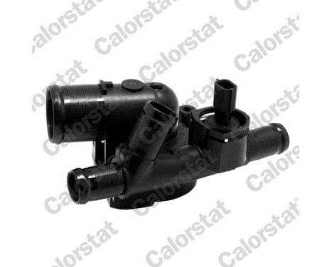 Thermostat, coolant