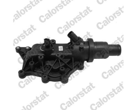 Thermostat, coolant