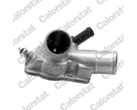 Thermostat, coolant