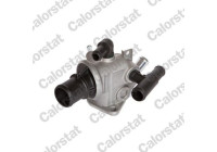 Thermostat, coolant
