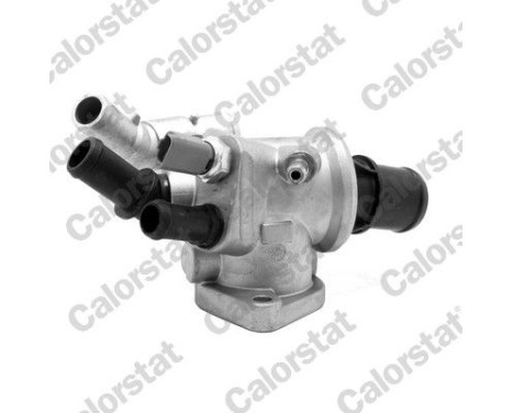 Thermostat, coolant