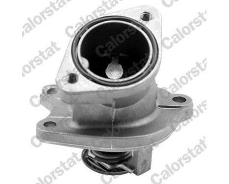 Thermostat, coolant