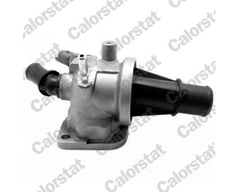 Thermostat, coolant