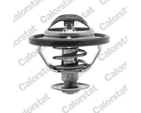 Thermostat, coolant