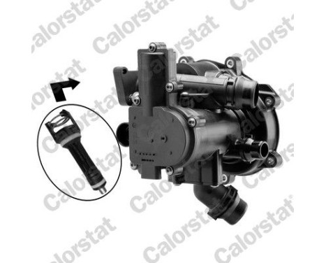 Thermostat, coolant