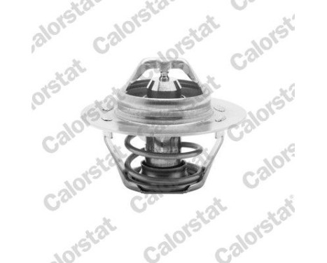 Thermostat, coolant