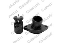 Thermostat, coolant