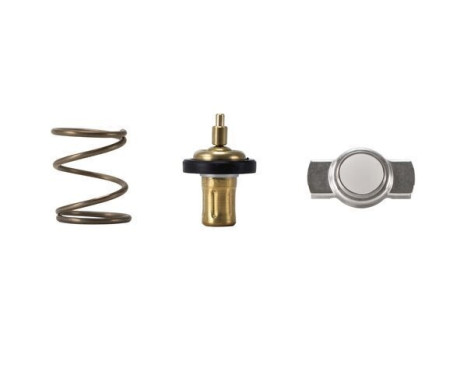 Thermostat, coolant