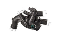 Thermostat, coolant