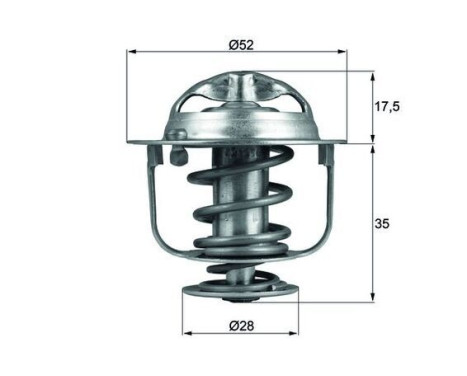 Thermostat, coolant