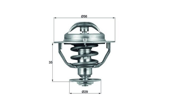Thermostat, coolant