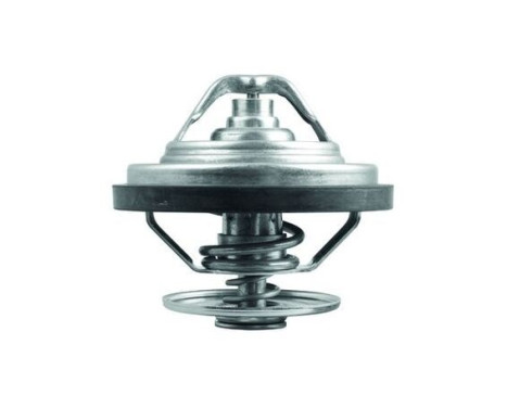 Thermostat, coolant, Image 2