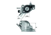 Thermostat, coolant