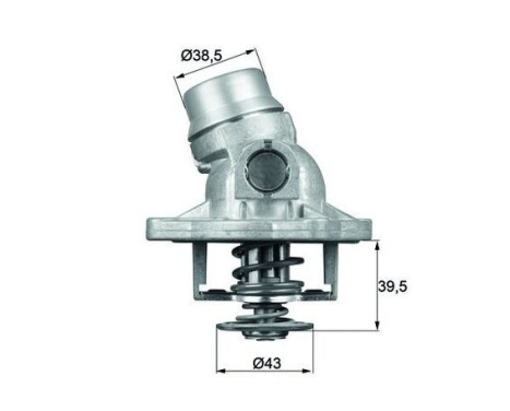 Thermostat, coolant