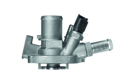 Thermostat, coolant, Image 2