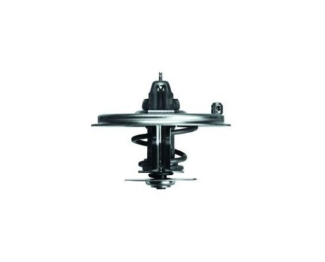 Thermostat, coolant, Image 2