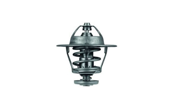 Thermostat, coolant, Image 2