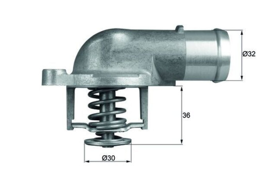 Thermostat, coolant