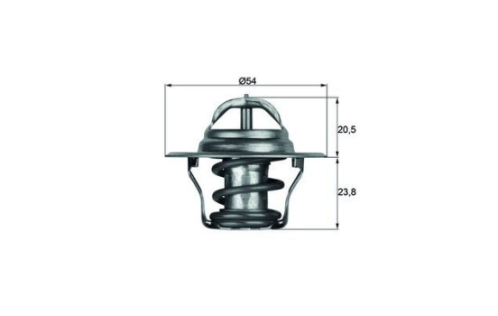 Thermostat, coolant