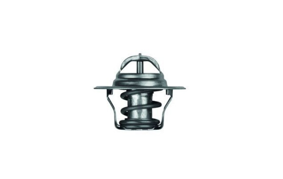 Thermostat, coolant, Image 2