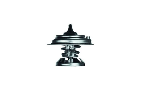 Thermostat, coolant, Image 2