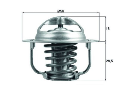 Thermostat, coolant