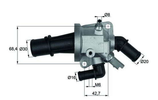 Thermostat, coolant
