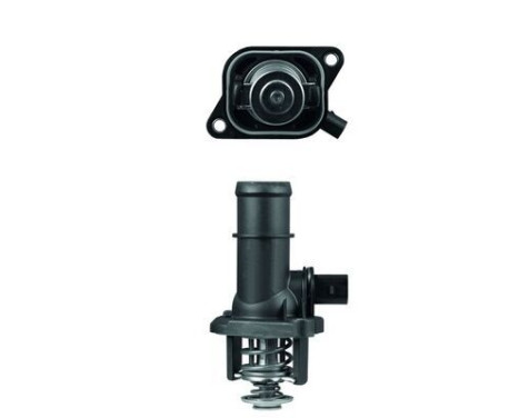 Thermostat, coolant, Image 2