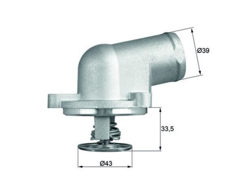 Thermostat, coolant