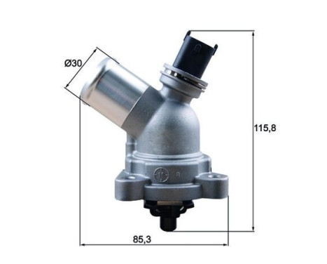 Thermostat, coolant