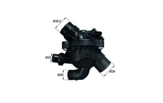Thermostat, coolant