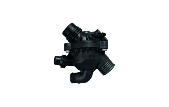 Thermostat, coolant, Image 2