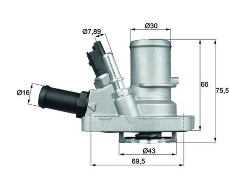 Thermostat, coolant