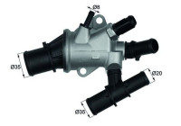 Thermostat, coolant