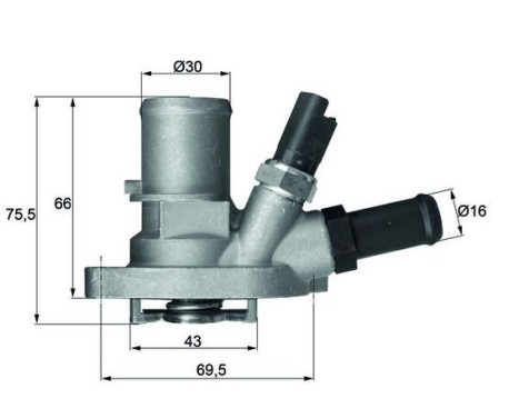 Thermostat, coolant