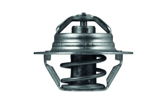 Thermostat, coolant, Image 2