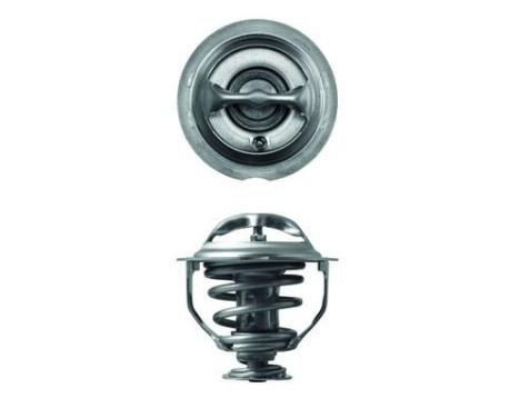Thermostat, coolant, Image 2