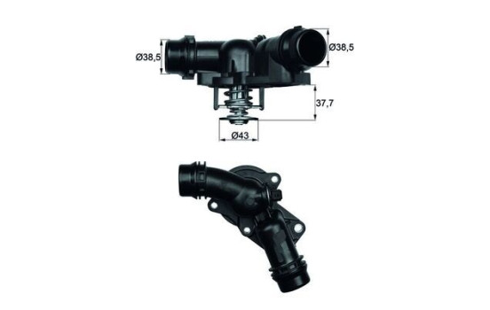 Thermostat, coolant