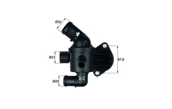 Thermostat, coolant