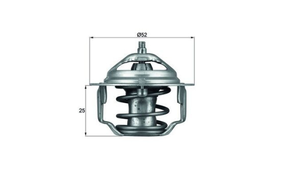 Thermostat, coolant
